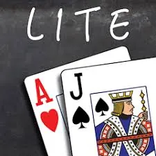 Card Counter Lite Game icon