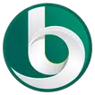 Bravo 10 icon
