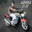 Grau BH icon