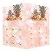 AppLock Theme Pineapple icon