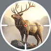 Animal Shooting icon