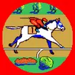 Horse Racing Coin Derby icon