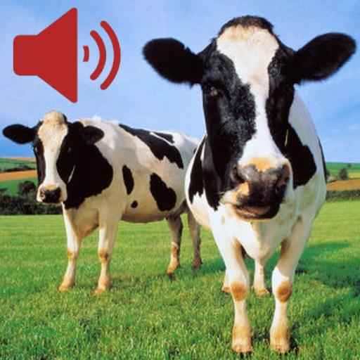 Real Animal Sounds icon