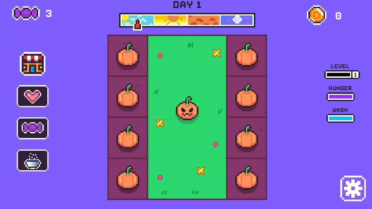 Pumpkin Love No Blur