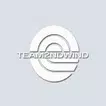 Team2ndWind icon
