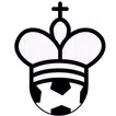Chess Football basic icon