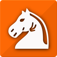 Follow Chess Game icon