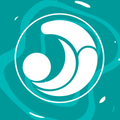 Surfin Balance icon