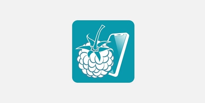 RaspController icon