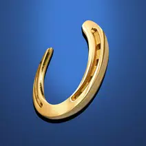 Horseshoe Online Casino icon