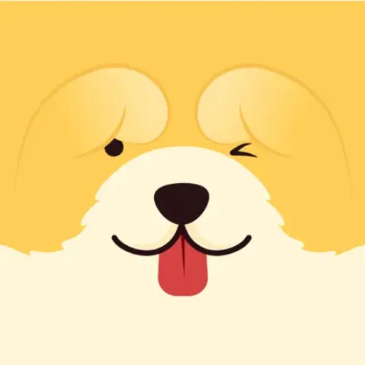 HeyChina icon