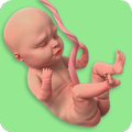 Mom Pregnancy Games: Mom Care icon