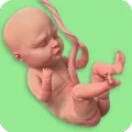 Mom Pregnancy Games: Mom Care APK