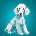 Bedlington Terrier Rescue icon