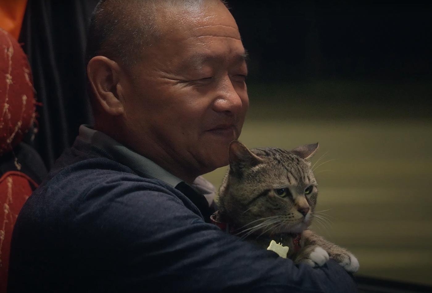Life with Cats movie: Stories of Solitude, Love, and Healing