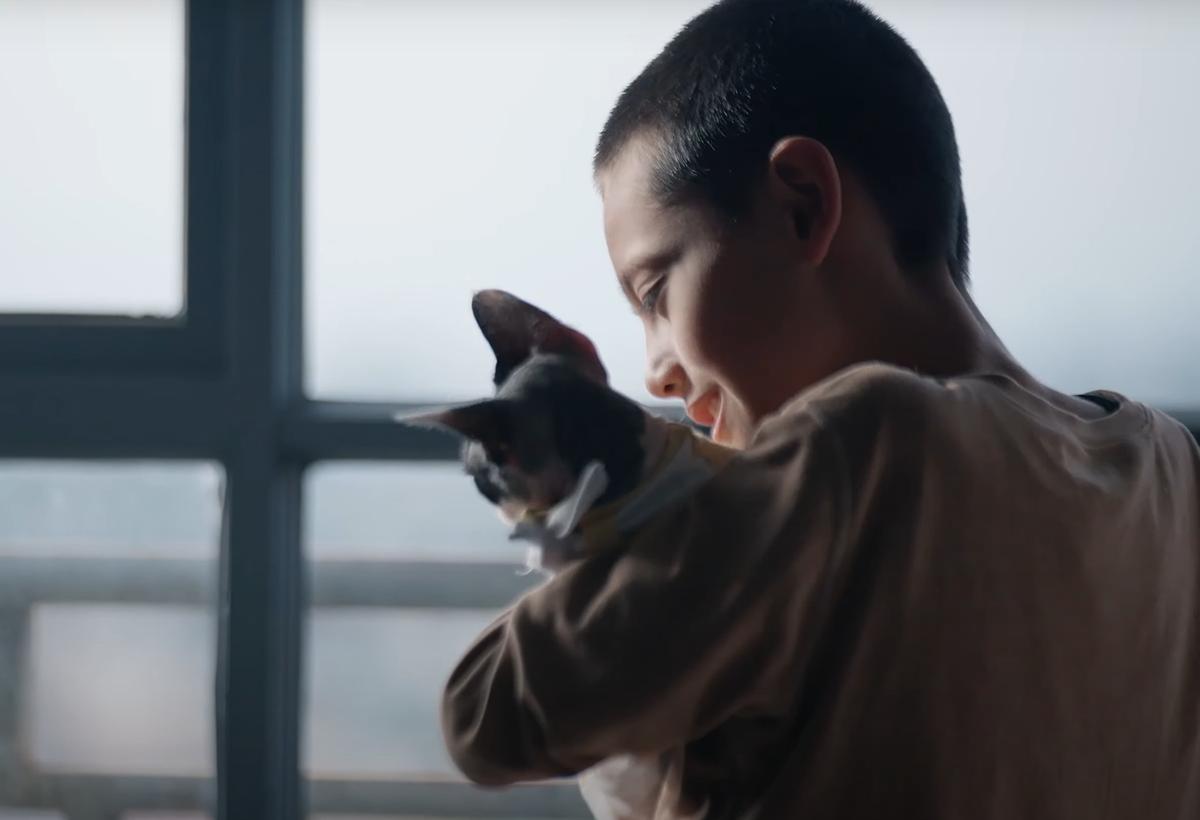 Life with Cats movie: Stories of Solitude, Love, and Healing