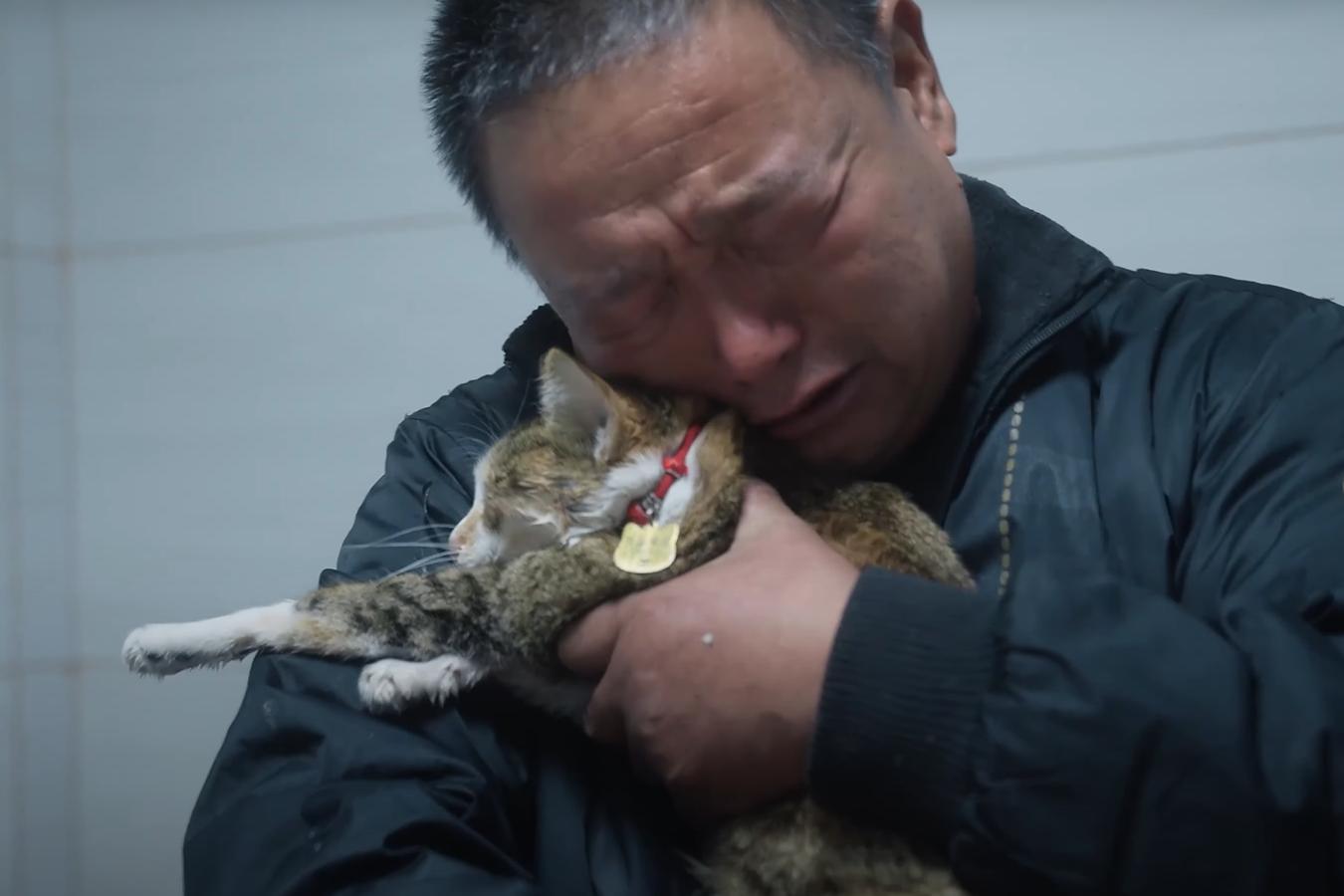 Life with Cats movie: Stories of Solitude, Love, and Healing
