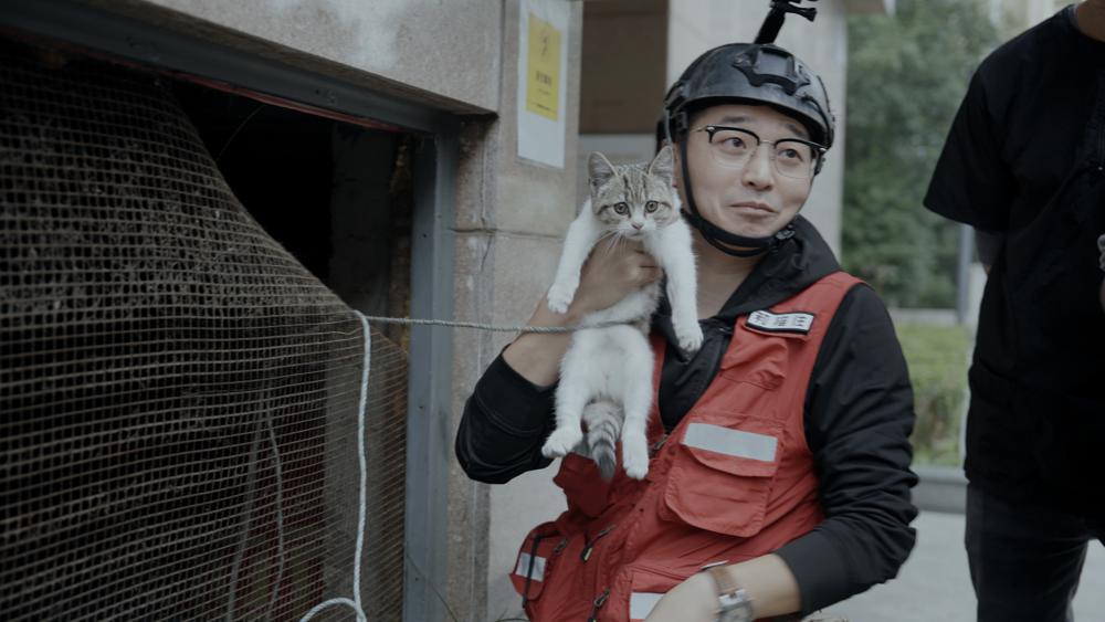 Life with Cats movie: Stories of Solitude, Love, and Healing