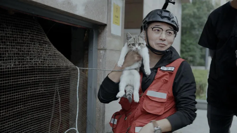 Life with Cats movie: Stories of Solitude, Love, and Healing