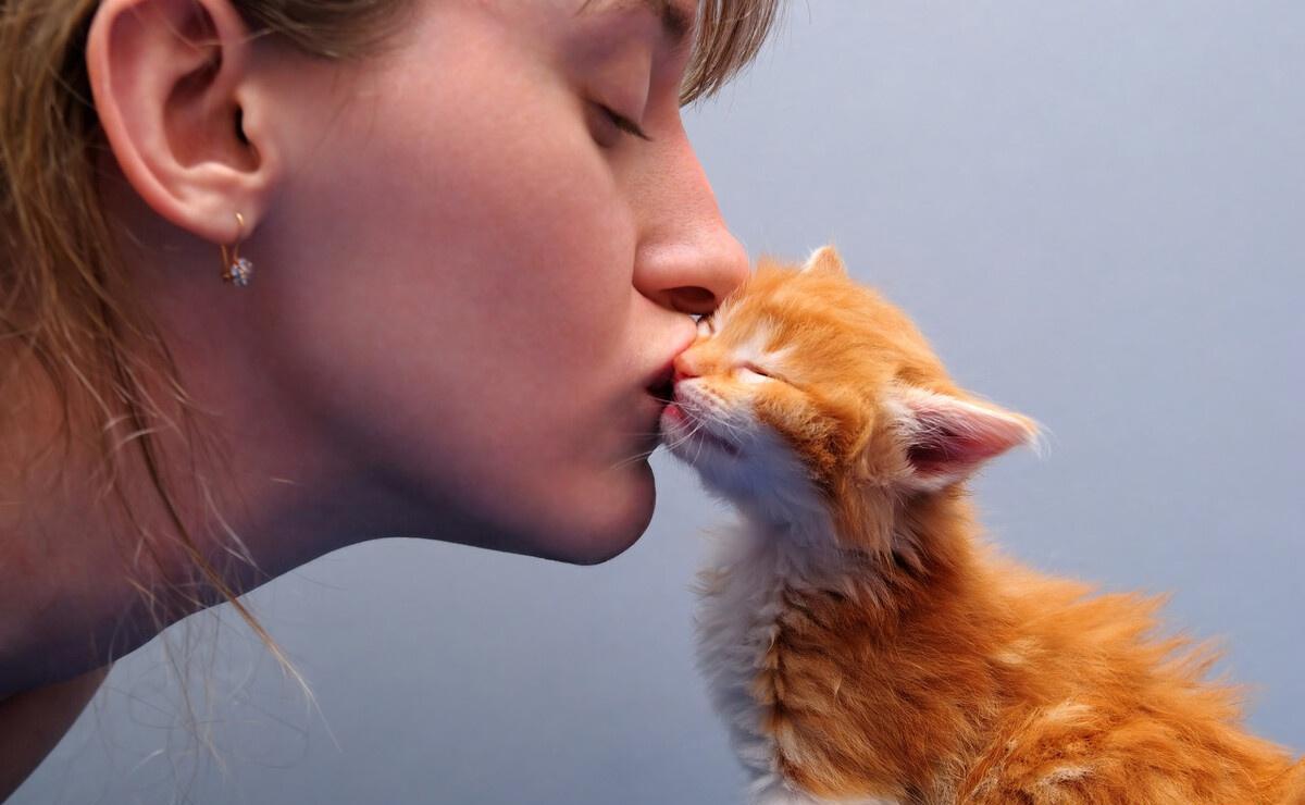 Life with Cats movie: Stories of Solitude, Love, and Healing