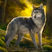 The Wolf Simulator icon