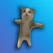 Shoot the Box icon