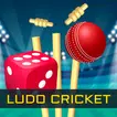 Ludo Cricket Premier League icon