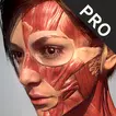 Action Anatomy Pro icon
