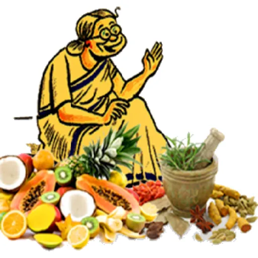 Dadi maa ke Ayurvedic Nuskhe APK