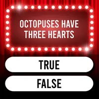 Trivia Quiz: Super Trivia Game icon