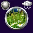 Spring Weather & Clock Widget icon