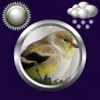 Birds Clock & Weather Widget icon