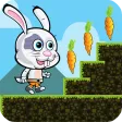 Bunny Run icon