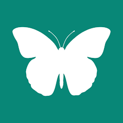 InsectBrain: Bug Identifier APK