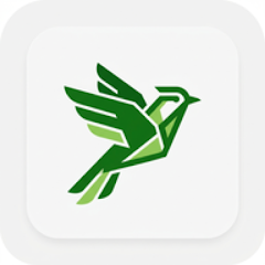 Lark Pod Join Xbox APK