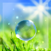Spring Live Wallpaper icon
