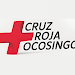 Cruz Roja Ocosingo APK