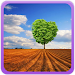 Landscapes Wallpapers APK