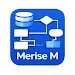 Merise M icon