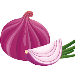 OnionGuard APK