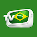 TV Brasil - TV ao Vivo icon