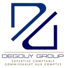 DG EXPERTSicon