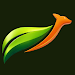 OptimOzz icon