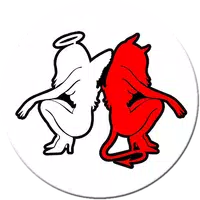 Test: Angel or Devil icon