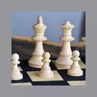 Chessvisicon