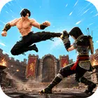 Warrior Fight Arena 3D APK