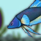 Cupangerz: Betta Battle! icon