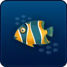 Big Fish APK