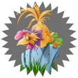 chicken raja betting icon