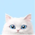 CatGat icon